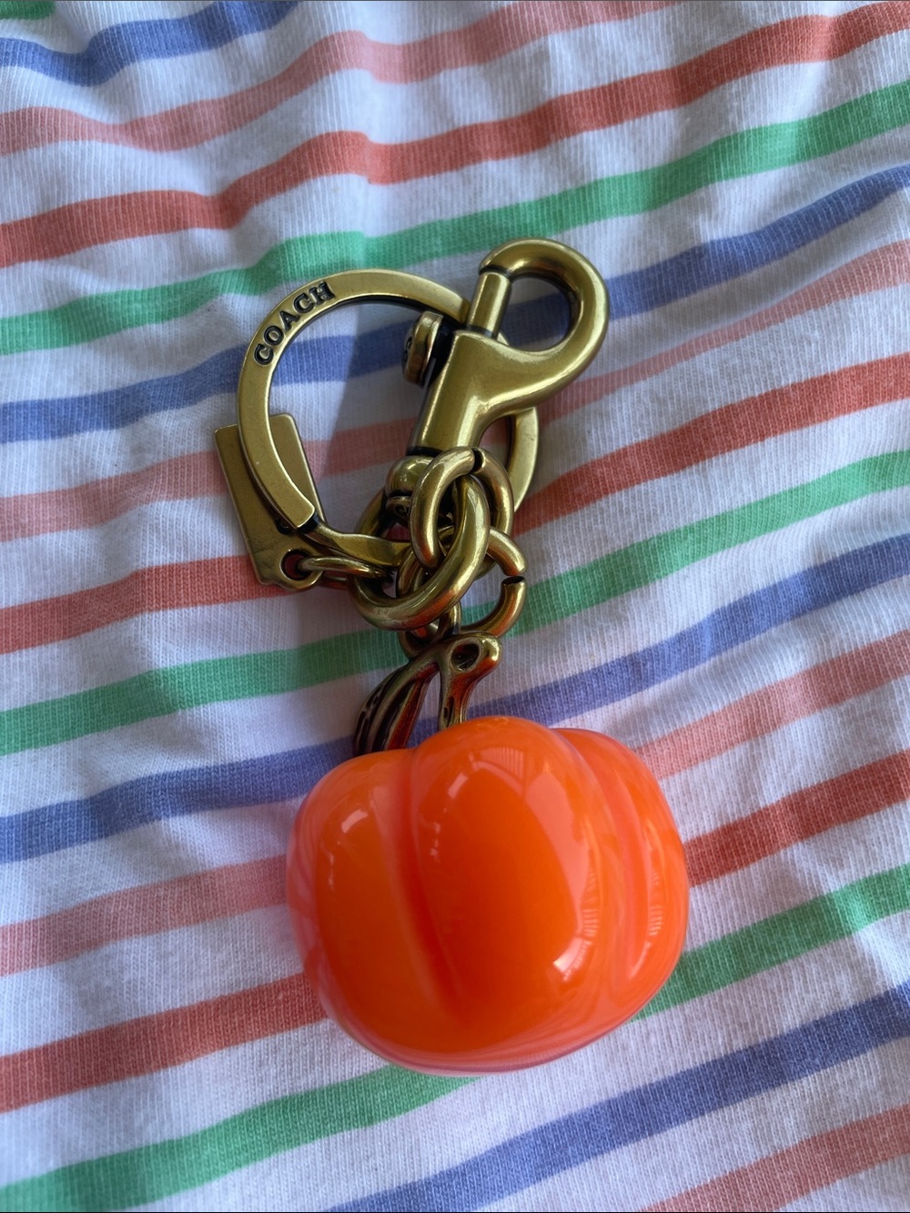Coach Pumpkin Bag Charm.
